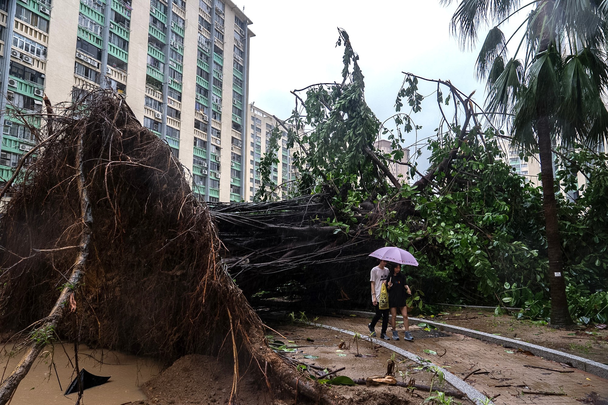 Severe-Tropical-Storm-Bualoi-Claims-11-Lives-in-the-Philippines-Ahead-of-Vietnam-Landfall