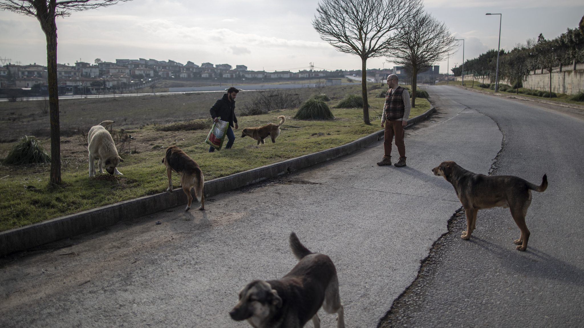 Talisay-City-Employees-Adopt-Stray-Dogs-Promoting-a-Pet-Friendly-Community